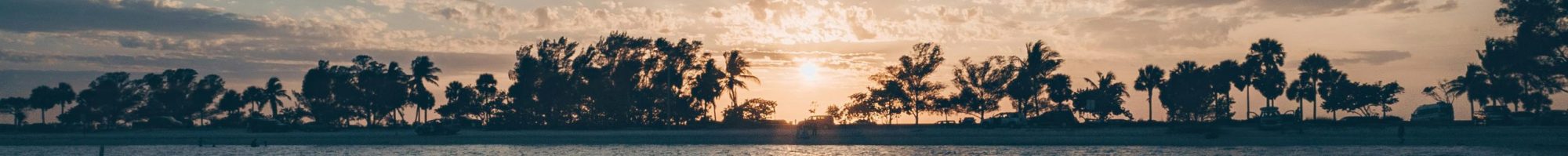 Maison & mode pour animaux – Offres exclusives toute l’année